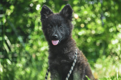 A'Nyx